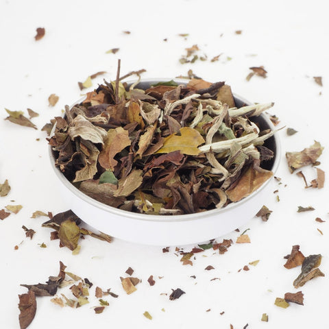 A bowl of Pai Mu Tan white loose leaf tea on a white background, surrounded by scattered dried tea leaves.