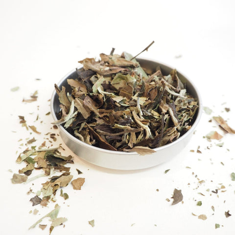 Pai Mu Tan Loose Leaf Tea - Teaspoon Tea Co