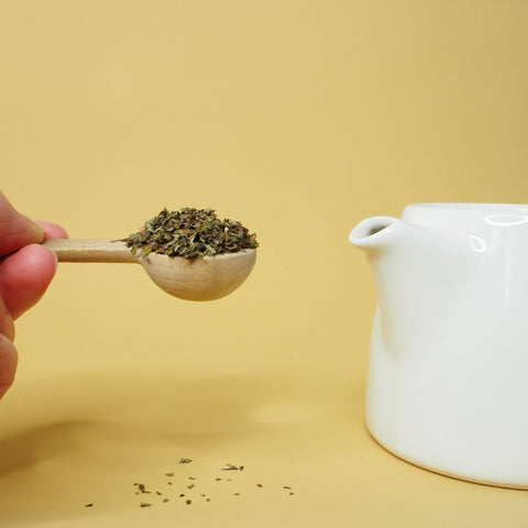Spearmint Herbal Loose Tea - Teaspoon Tea Co