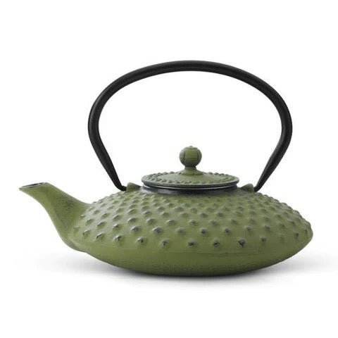 Cast Iron Green Teapot by Bredemijer - Teaspoon Tea Co