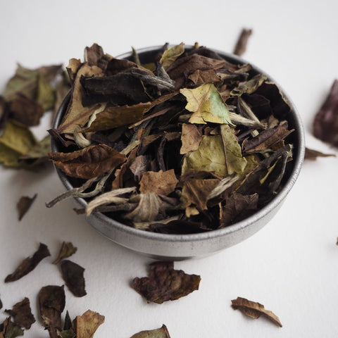 No.30 Pai Mu Tan White Loose Leaf Tea - Teaspoon Tea Co
